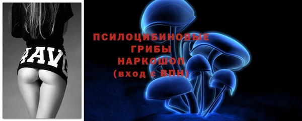 крисы Коряжма