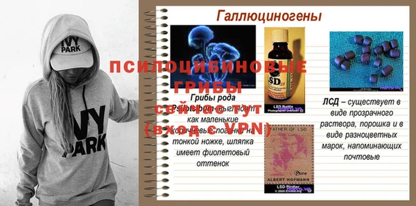 крисы Коряжма