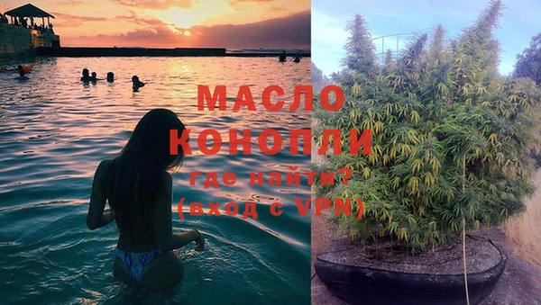 крисы Коряжма