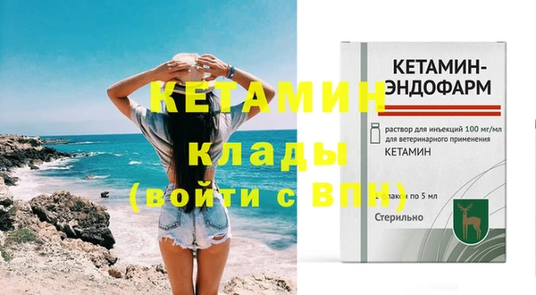 крисы Коряжма