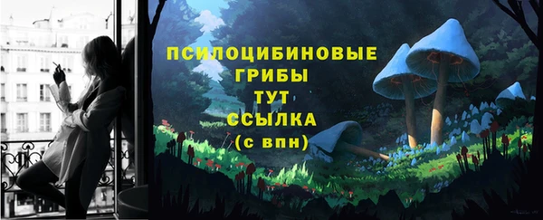 крисы Коряжма