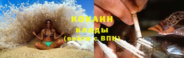 крисы Коряжма