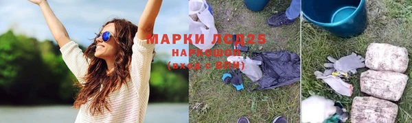 крисы Коряжма