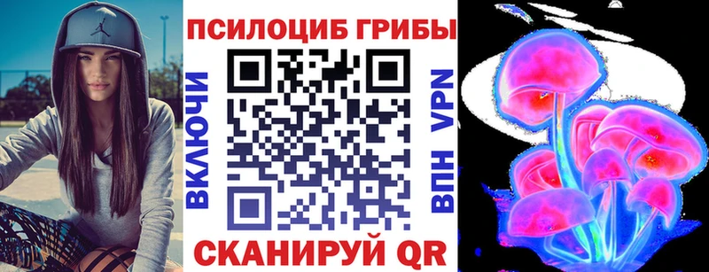 Псилоцибиновые грибы MAGIC MUSHROOMS  Темников 