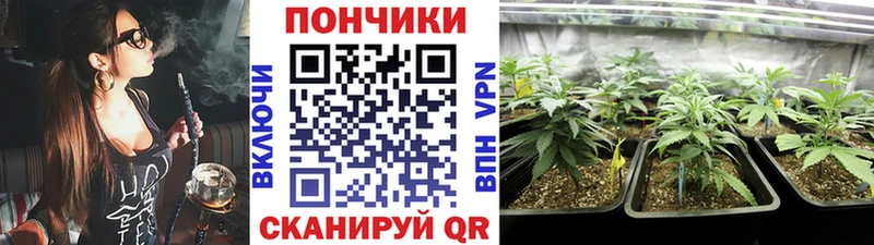 blacksprut вход  Темников  Бошки Шишки OG Kush 